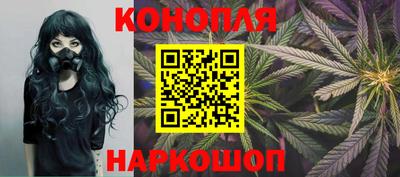 сатива Гатчина