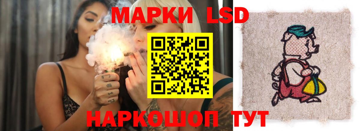 МЕГА ссылки  LSD-25 экстази ecstasy  Вход с VPN  Можга  ЛСД экстази ecstasy 