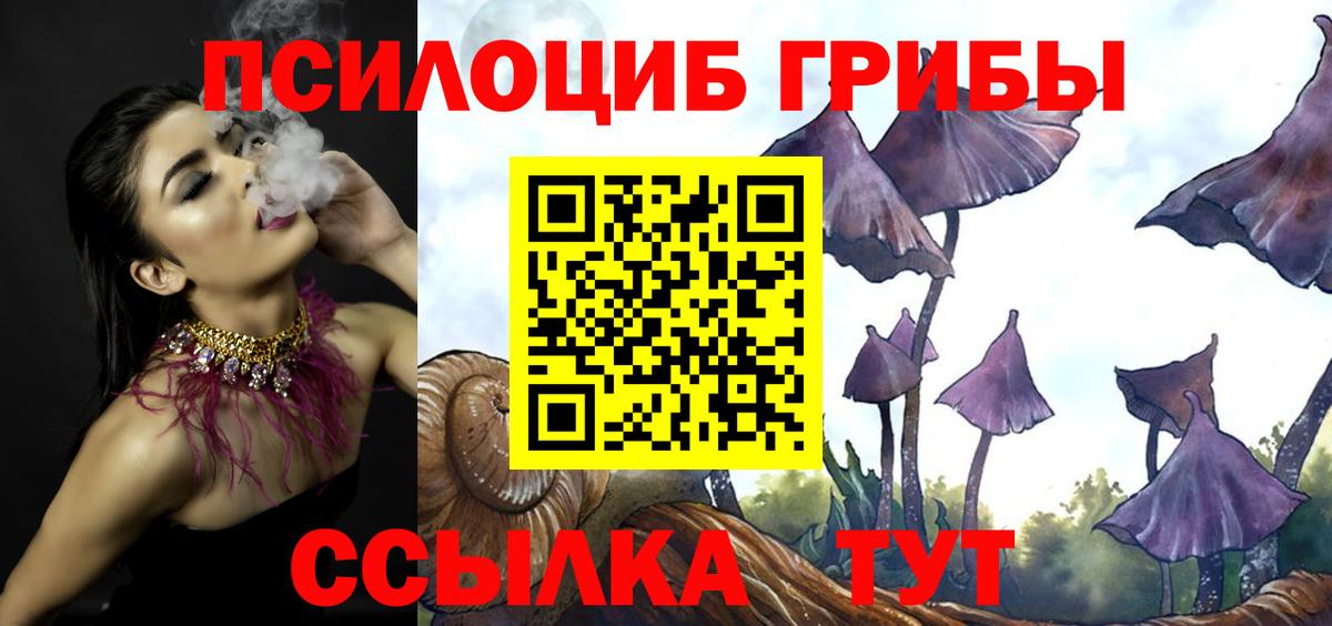 Псилоцибиновые грибы ЛСД  Псилоцибиновые грибы мухоморы  Вход с VPN  Можга 